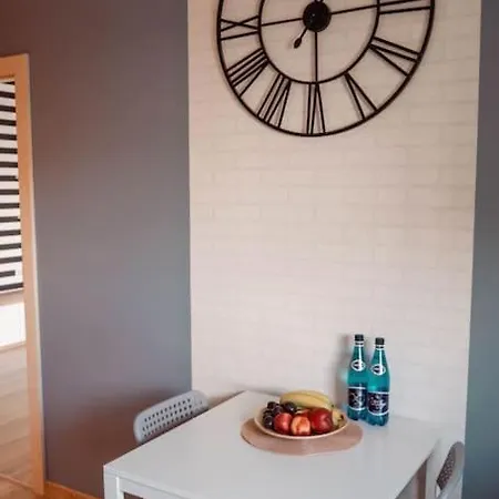 Apartament Zebra Z Bezplatnym Parkingiem I Klimatyzacja Apartment Poznan