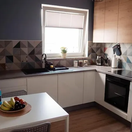 Apartament Zebra Z Bezplatnym Parkingiem I Klimatyzacja Poznan
